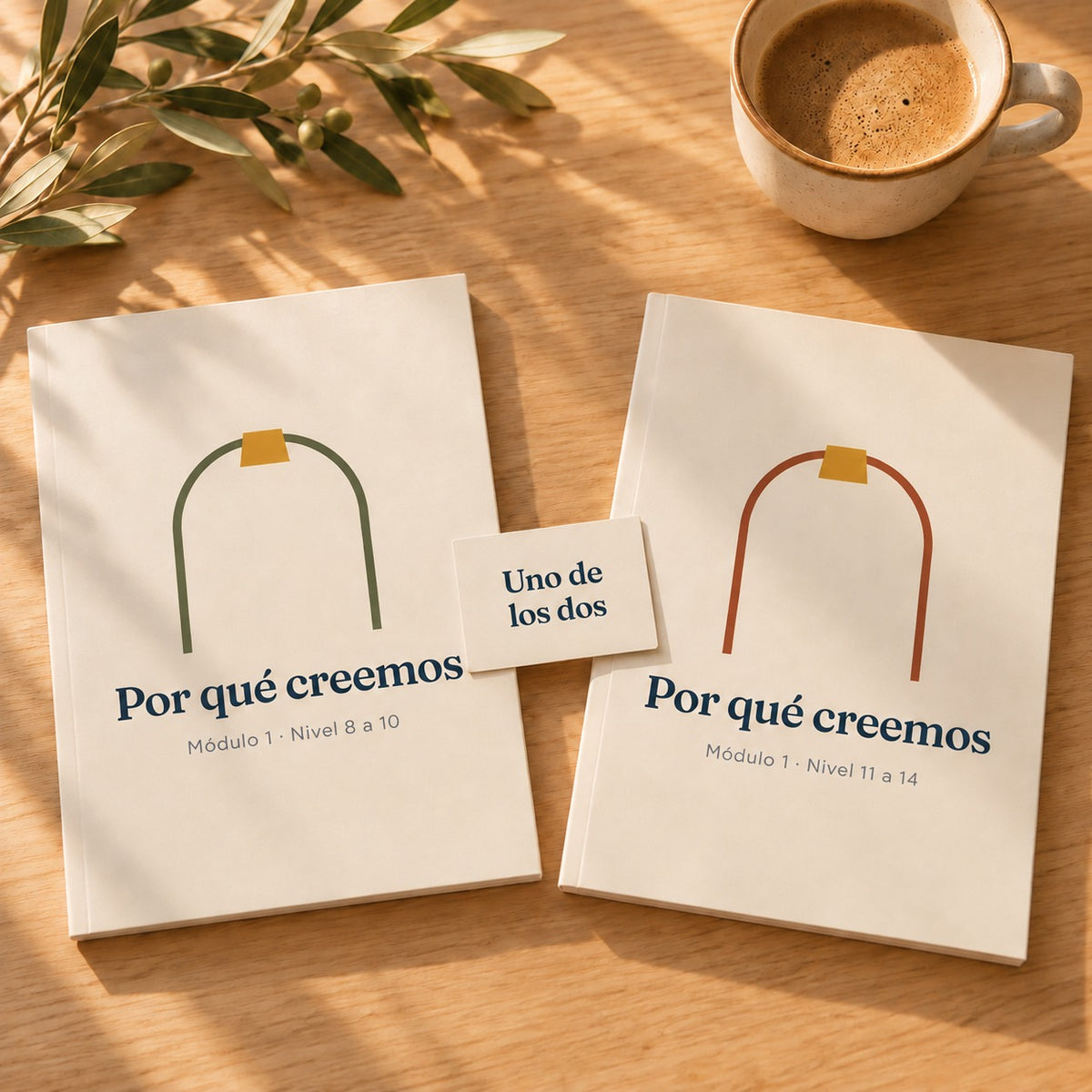 Dos niveles del Módulo 1; con el Plan Esencial elegís uno de los dos